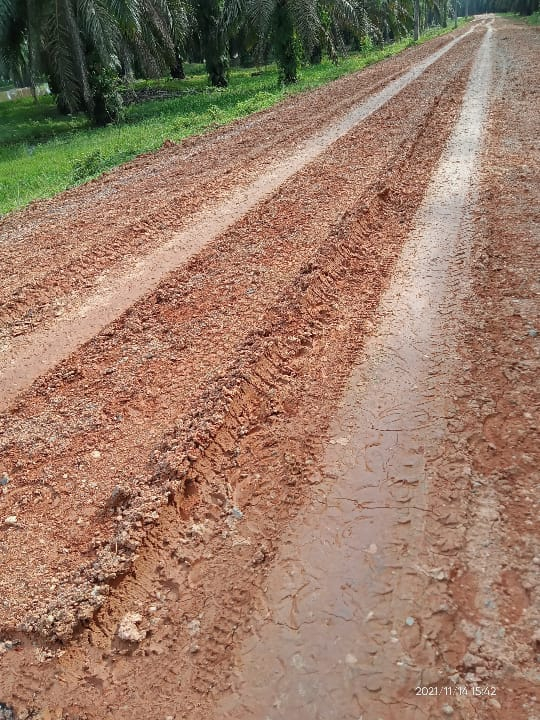 Jalan Rantau Majo-Tantan Yang Kondisinya Becek meski telah dilakukan Pengerasan